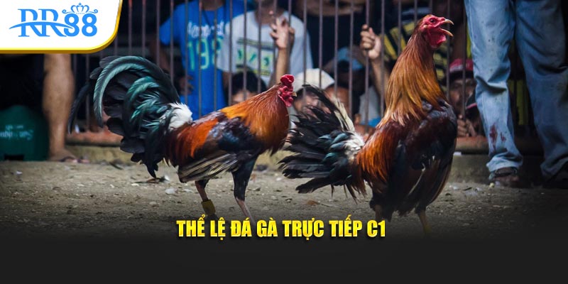 Thể lệ đá gà trực tiếp C1